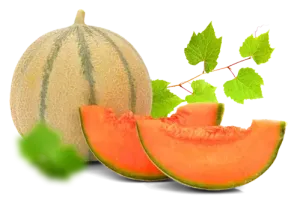 Melone Retato