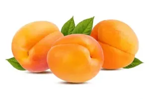 Albicocche