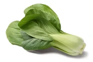 Cavolo Pak-Choi