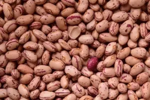 Fagioli Borlotti freschi