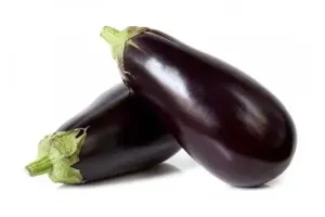 Melanzana Ovale Nera