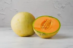 Melone Liscio