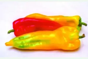 Peperone a Corno Giallo Rosso