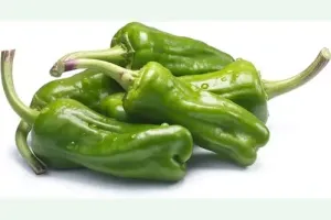 Peperoni Friggitelli