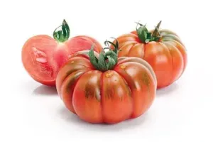 Pomodoro Costoluto