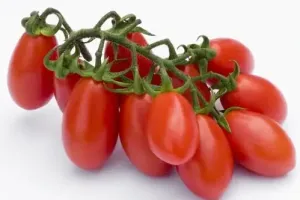 Pomodoro Datterino