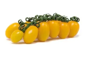 Pomodoro Datterino Giallo