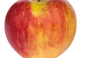 mela topaz